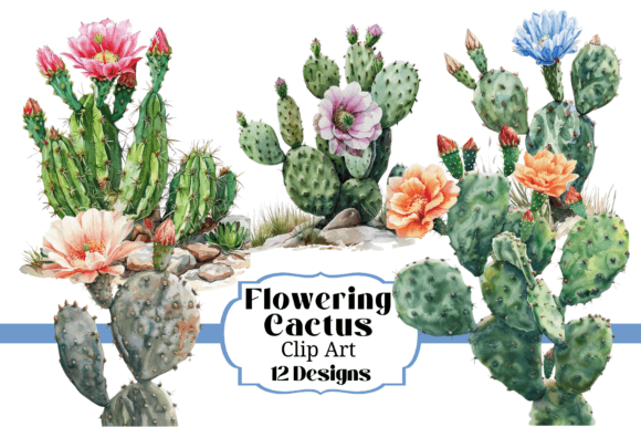 Download 12 Watercolor Flowering Cactus Clipart - Color Collection