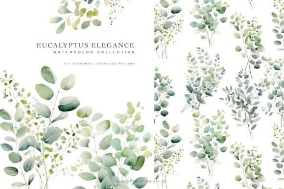 Download Watercolor Eucalyptus Clipart - Color Collection