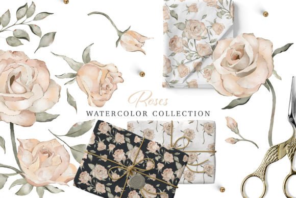 Download Watercolor Modern Roses Collection - Color Collection