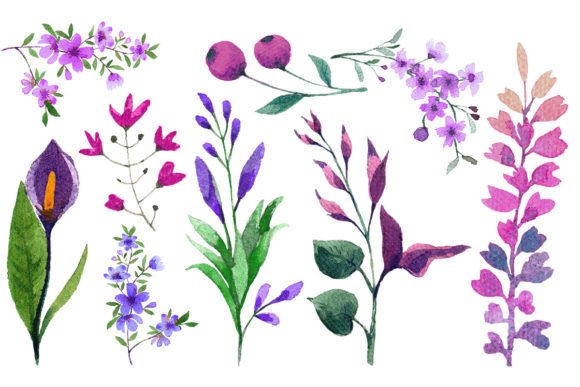 Download Watercolor Flower Elements Set - Color Collection