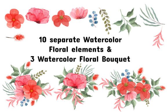 Download Watercolor Floral Elements - Color Collection