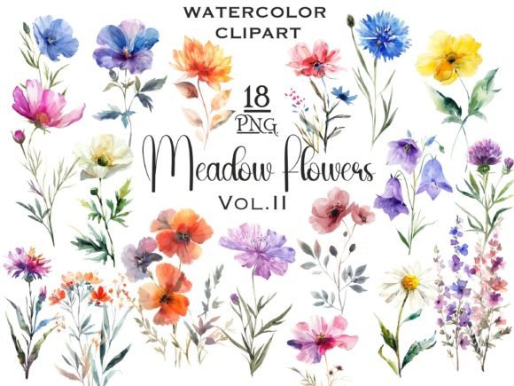 Download Meadow Wildflowers Watercolor Clipart V2 - Color Collection
