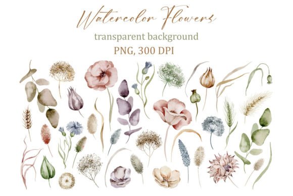 Download Delicate Watercolor Floral Elements, PNG - Color Collection