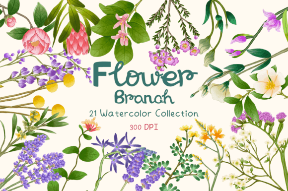 Download Flower Branch  Watercolor Collection - Color Collection