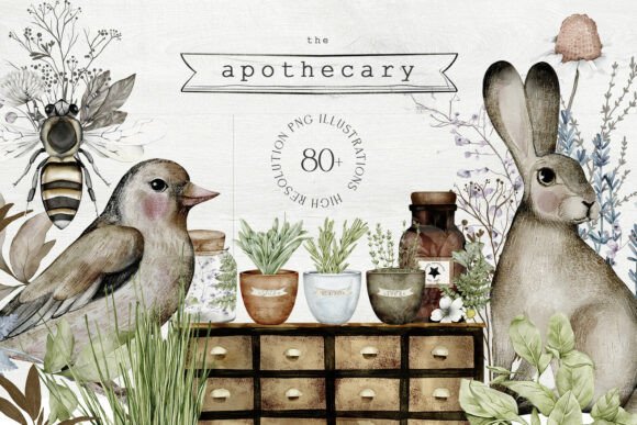 Download Apothecary Hand Drawn Watercolor PNG - Color Collection