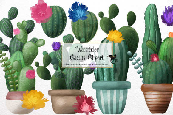 Download Watercolor Cactus Clipart - Color Collection