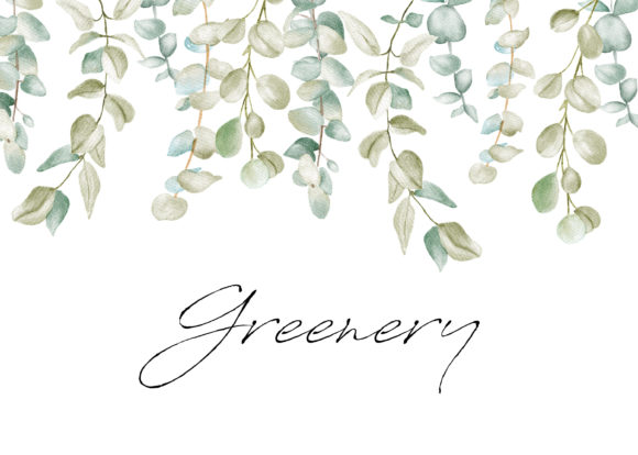Download Watercolor Greenery Eucalyptus Clipart - Color Collection