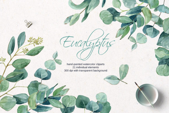 Download Watercolor Eucalyptus Clipart - Color Collection