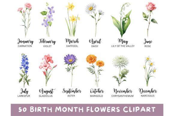 Download 50 Watercolor Birth Month Flowers PNG - Color Collection