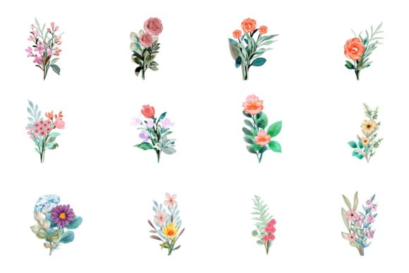 Download Watercolor Flower Elements - Color Collection