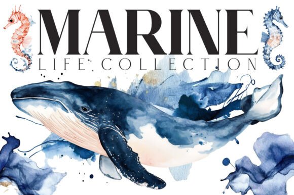 Download Marine Life Watercolor - Color Collection